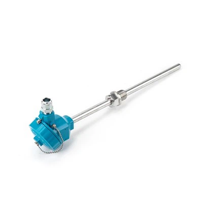 Robbanásbiztos{0}}hőelem